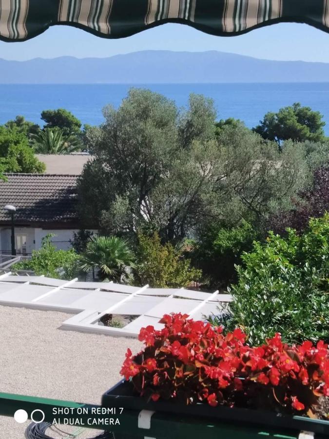 Apartmani Glavina Zaostrog Buitenkant foto